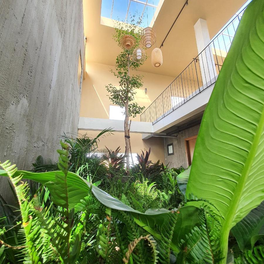 Cagina Boutique Hostel دونغ هوي المظهر الخارجي الصورة